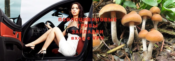 трава Арсеньев