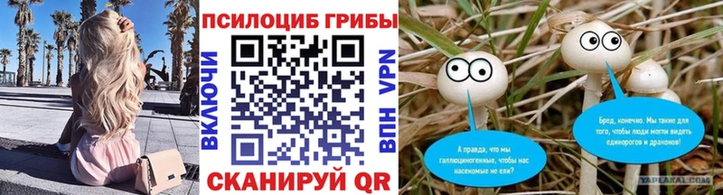 Галлюциногенные грибы GOLDEN TEACHER  Сухиничи 
